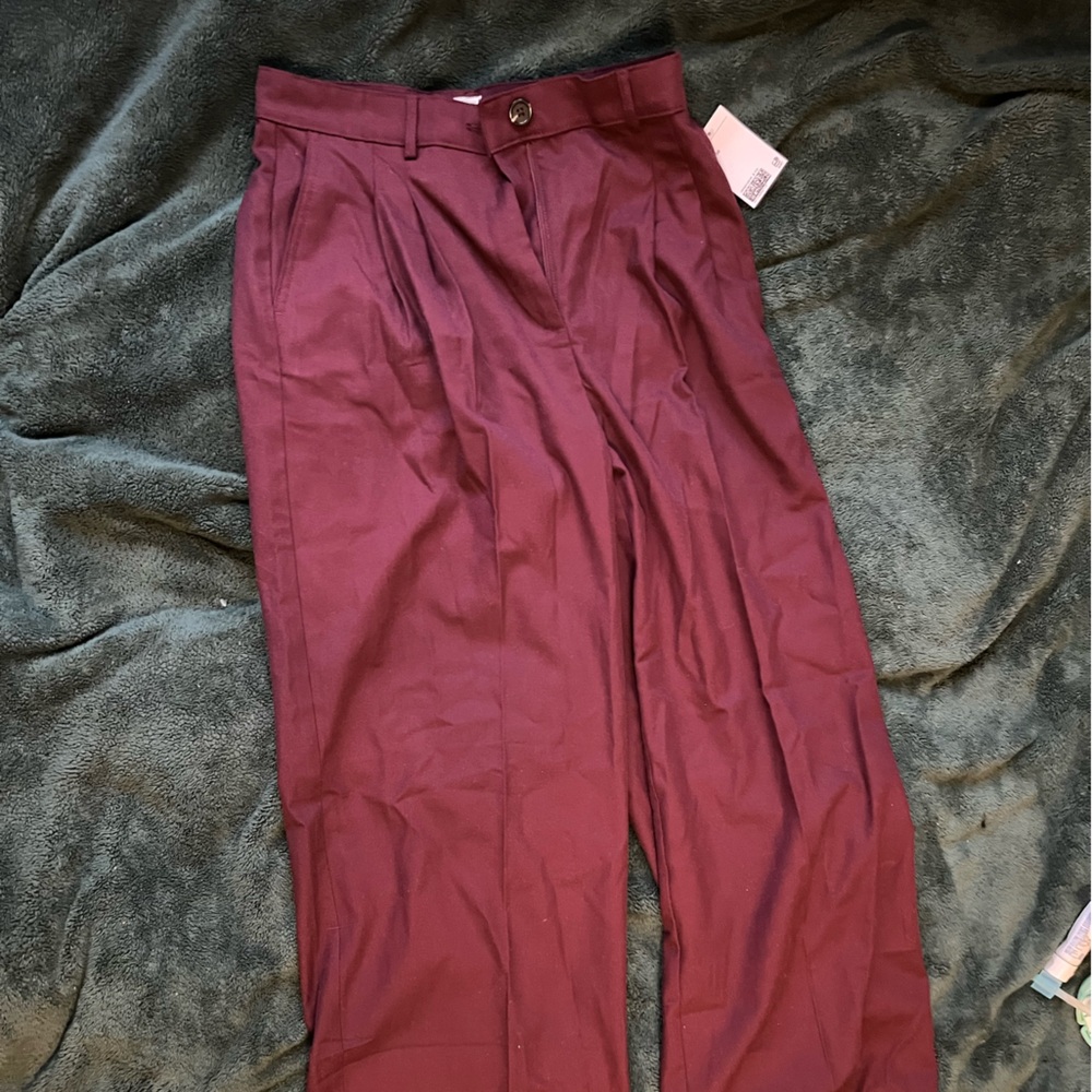 H&M Women's Deep Burgundy Pants